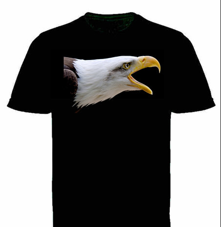  T-shirt gekleurd